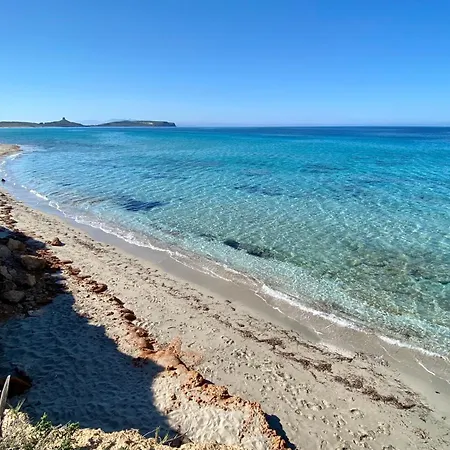 Casa Perassi 別荘 *